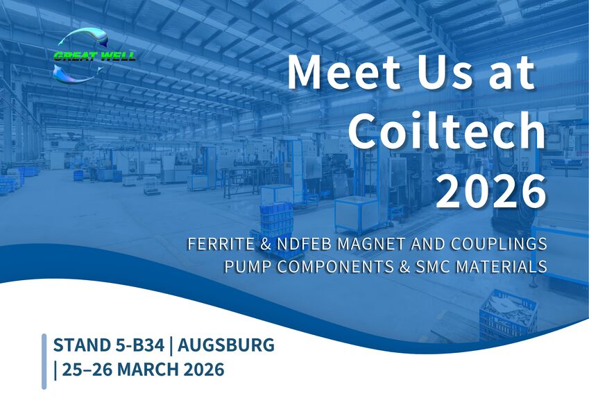 Custom Permanent Magnetic Assembly