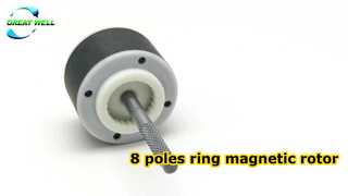 8 poles ring magnetic rotor